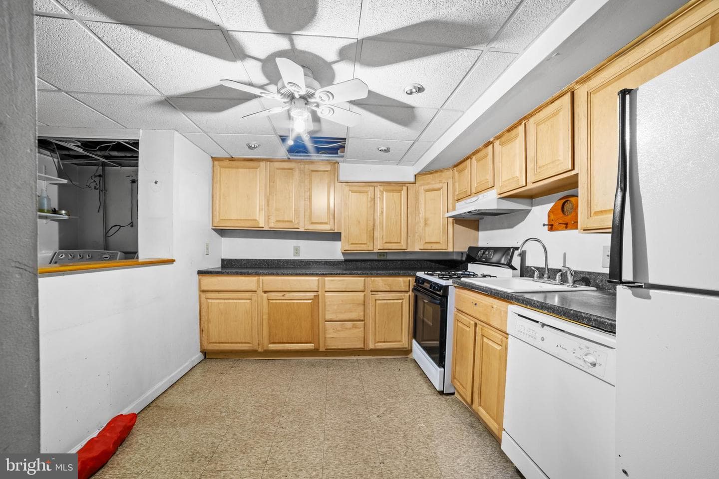 221 Belmont Avenue photo 17