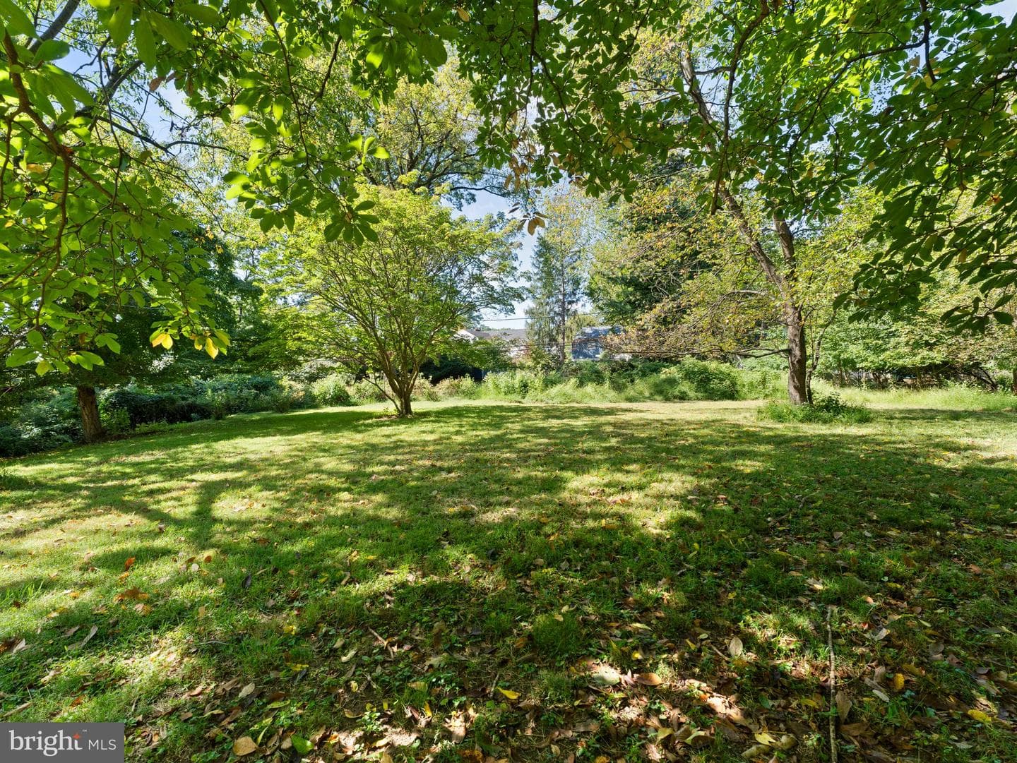 8232 Forrest Avenue photo 40