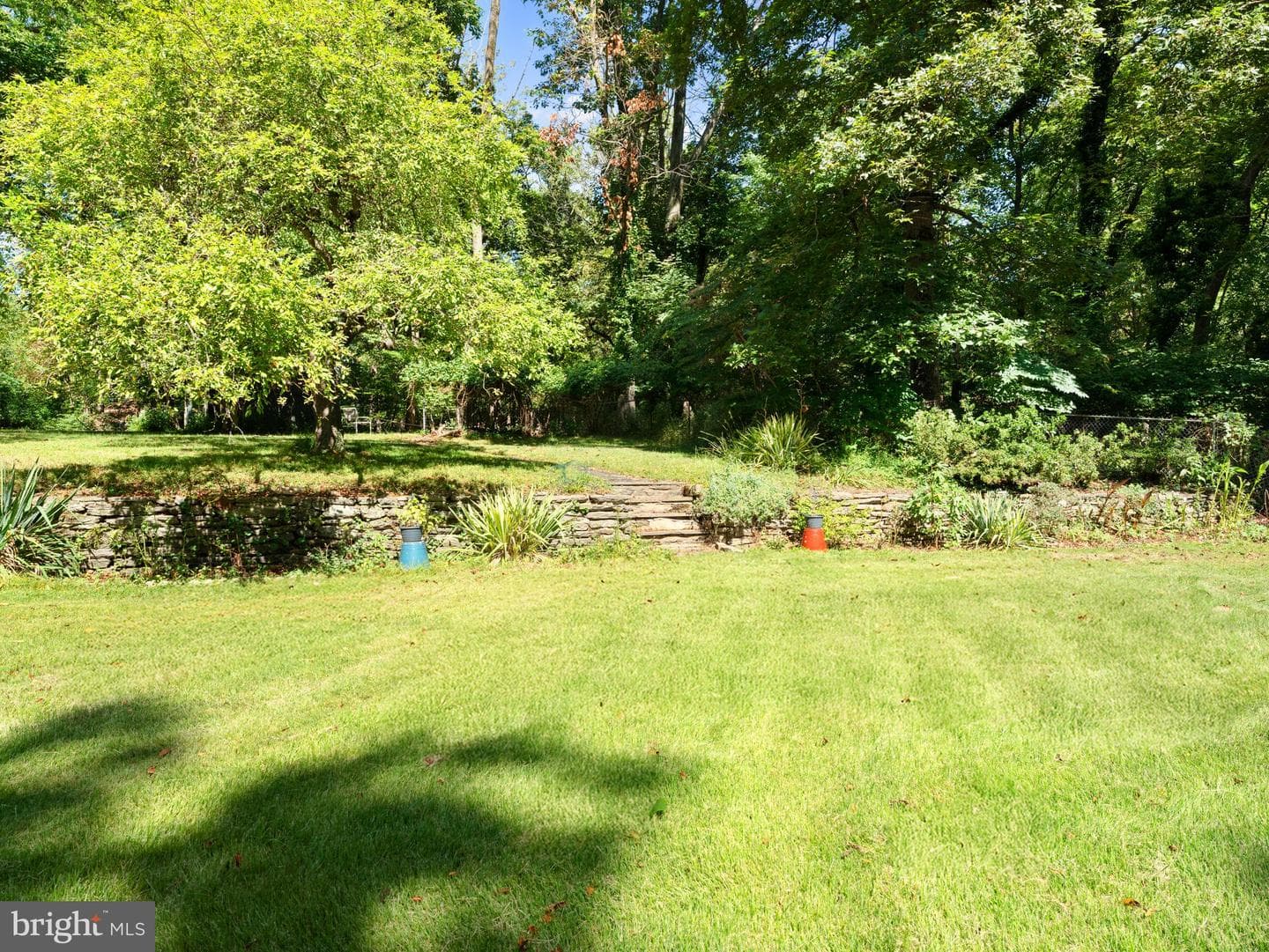 8232 Forrest Avenue photo 47