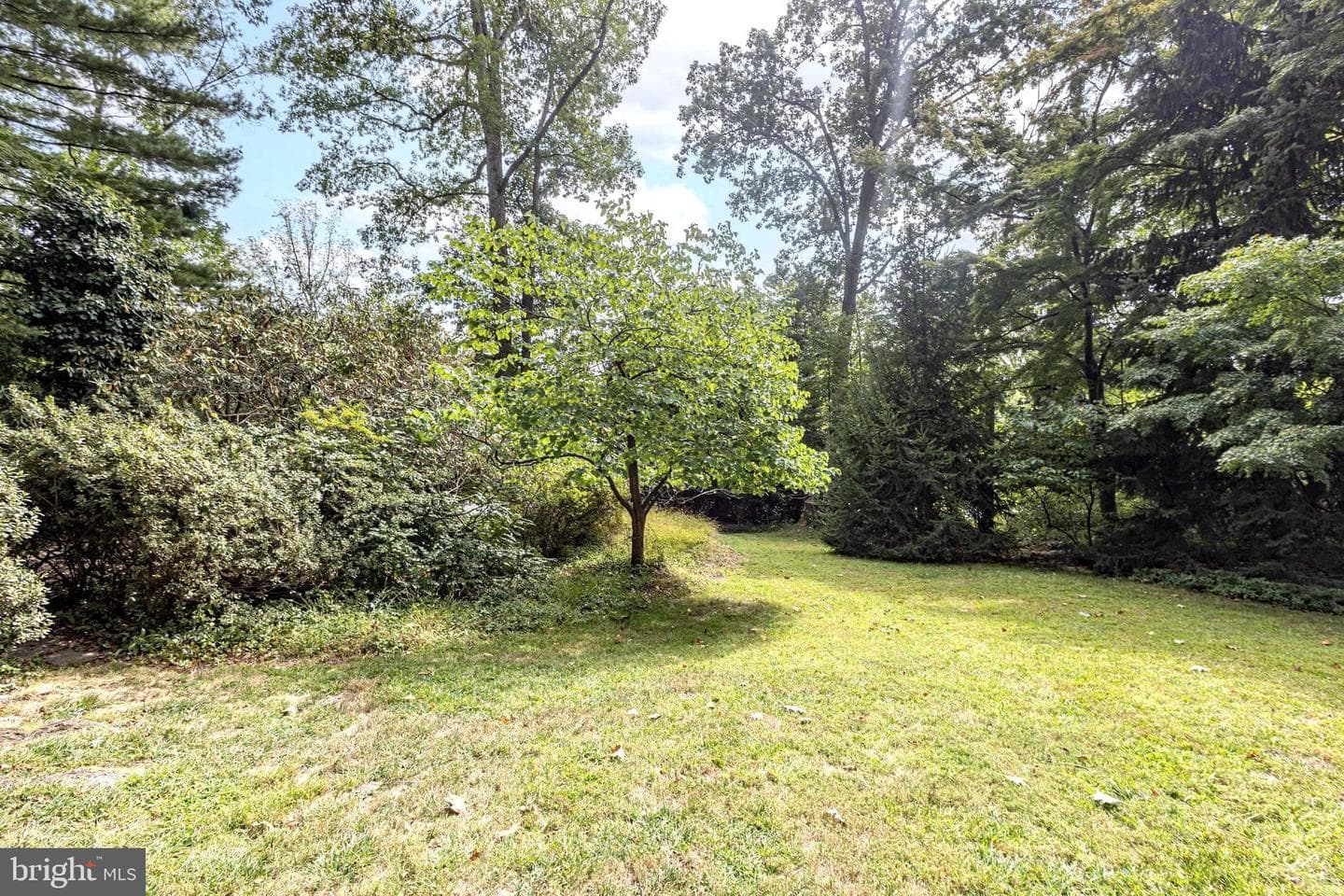 160 Camp Hill Road photo 69