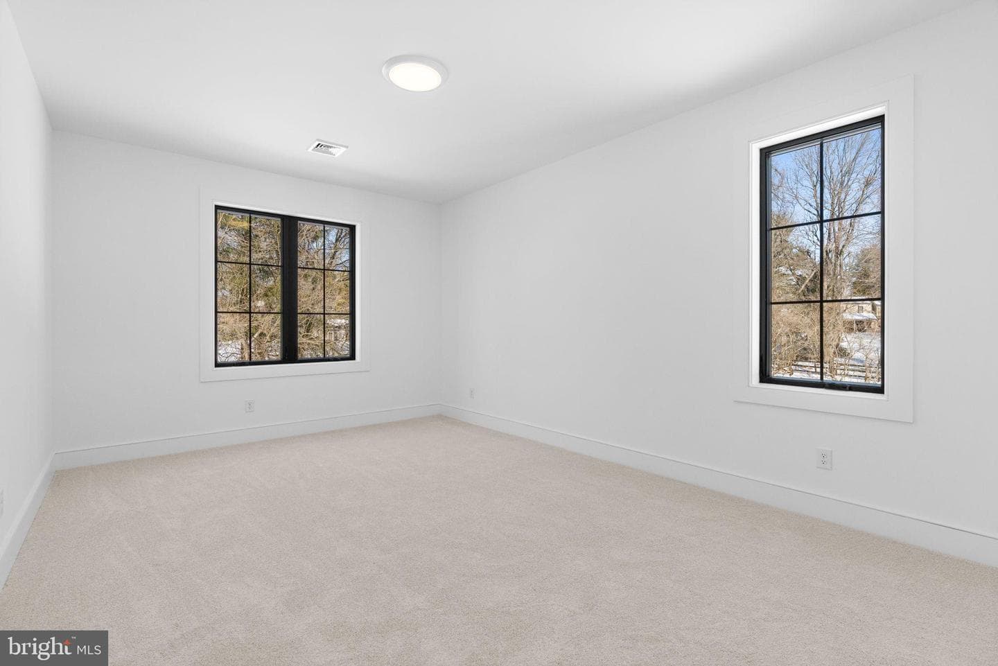 1017 Woods Lane photo 72