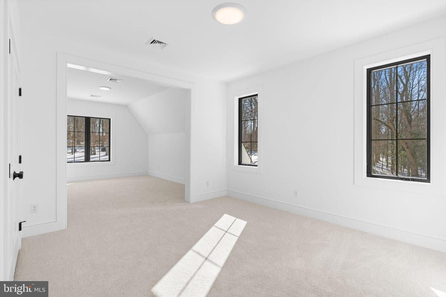 1017 Woods Lane photo 80