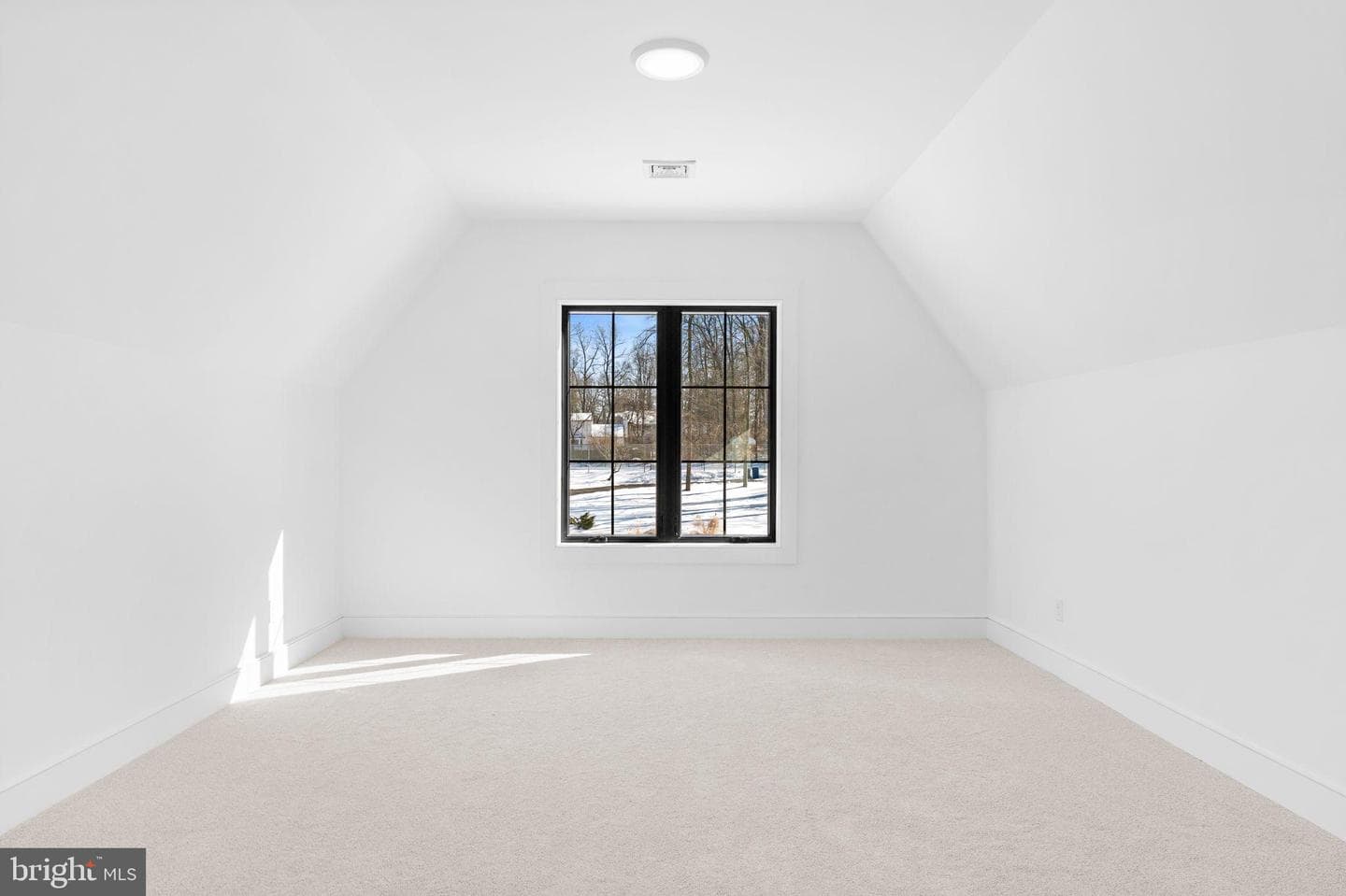 1017 Woods Lane photo 81