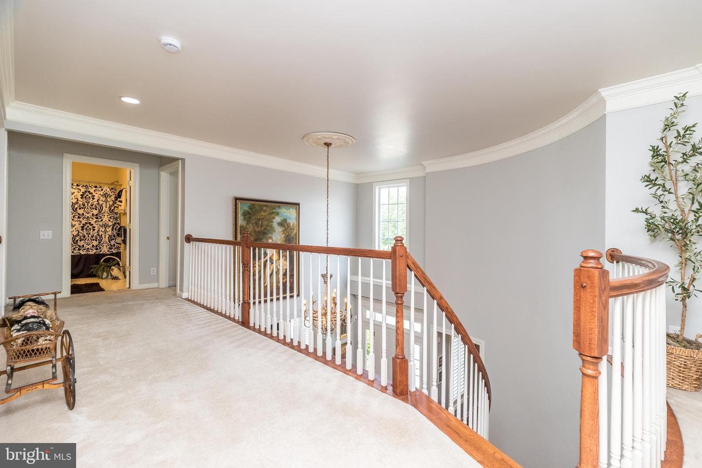 311 Primrose Drive photo 38