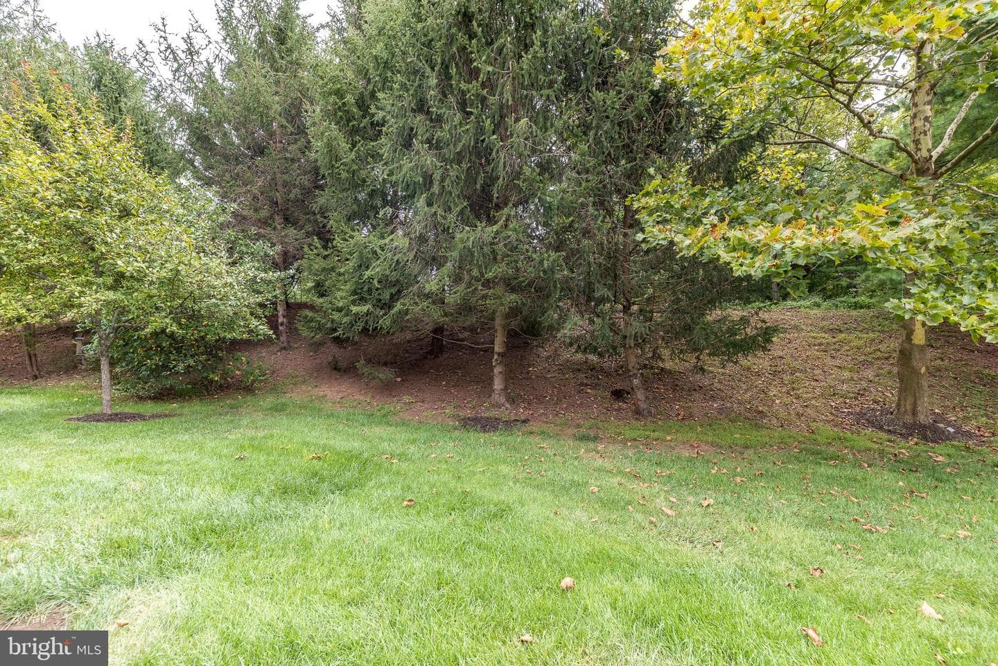 311 Primrose Drive photo 49