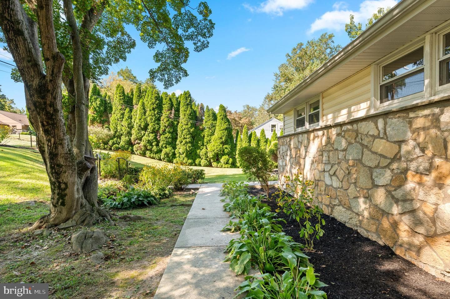 1140 Green Tree Lane photo 5