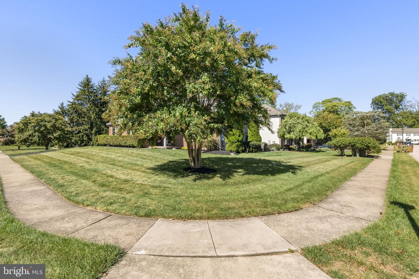 102 Windsor Place photo 43