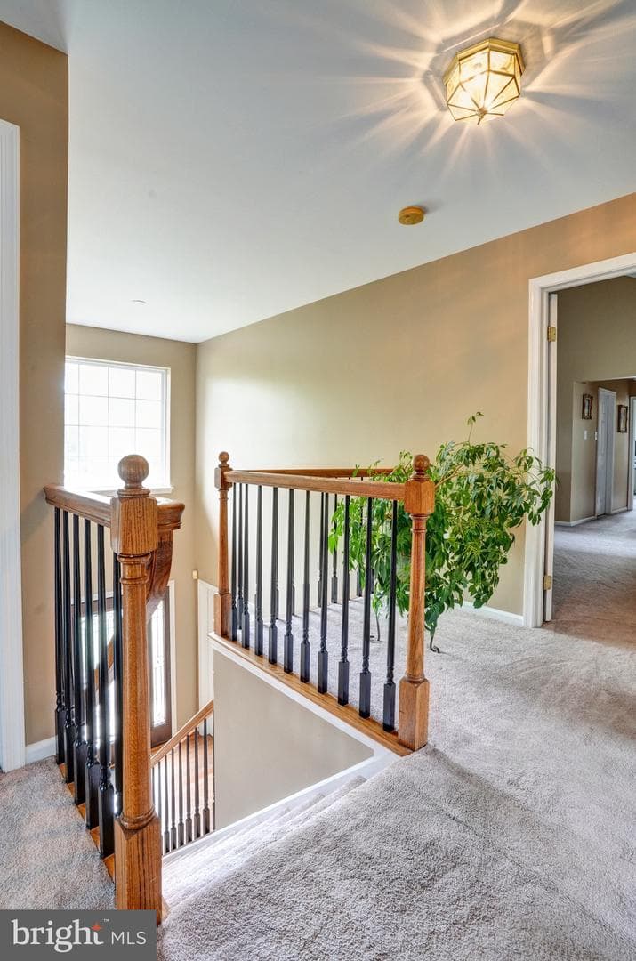 4021 Killington Court photo 30
