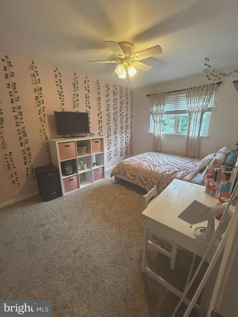 266 Shirley Drive photo 23