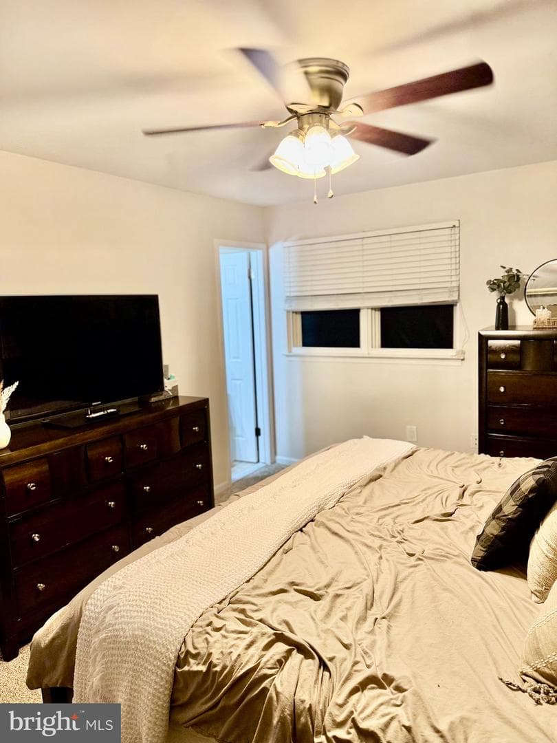266 Shirley Drive photo 34