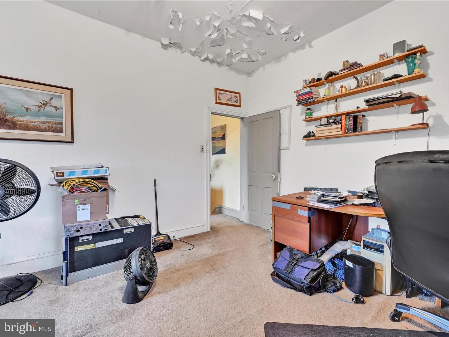 941 Queen Street photo 23