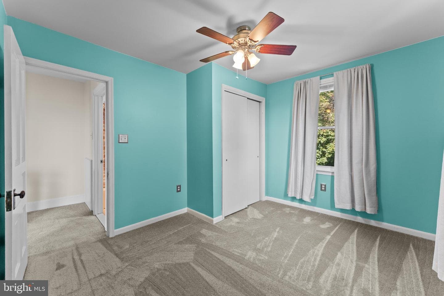 310 Dallas Road photo 19