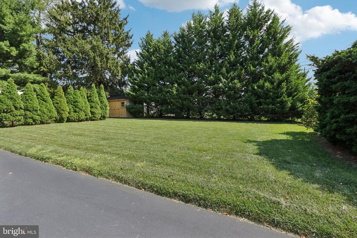 355 Brighton Road photo 46