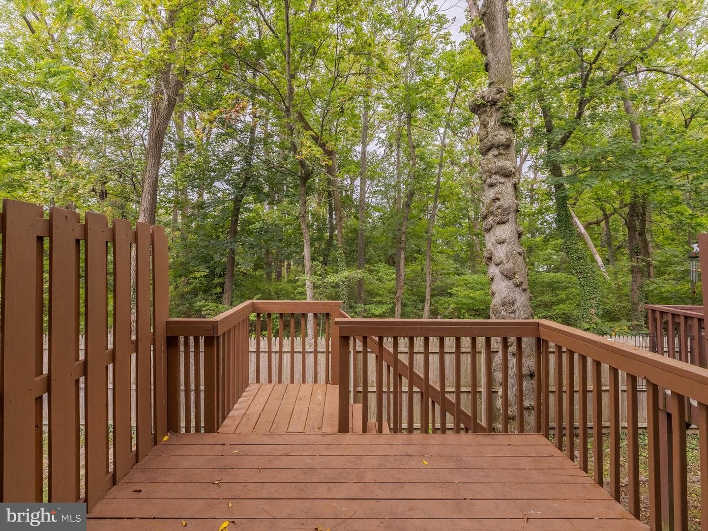 122 Yorkshire Way photo 34