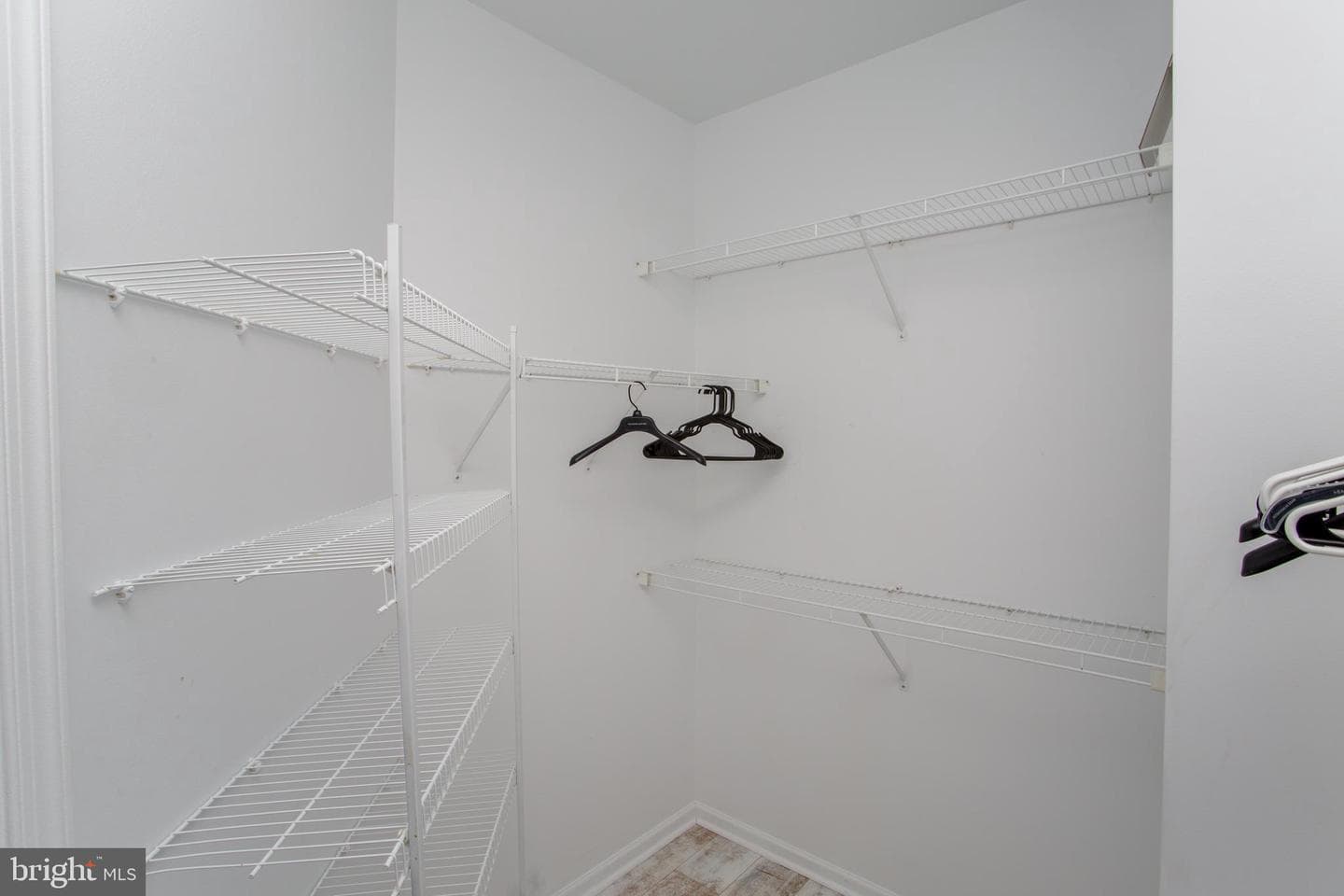 523 Carson Terrace photo 53