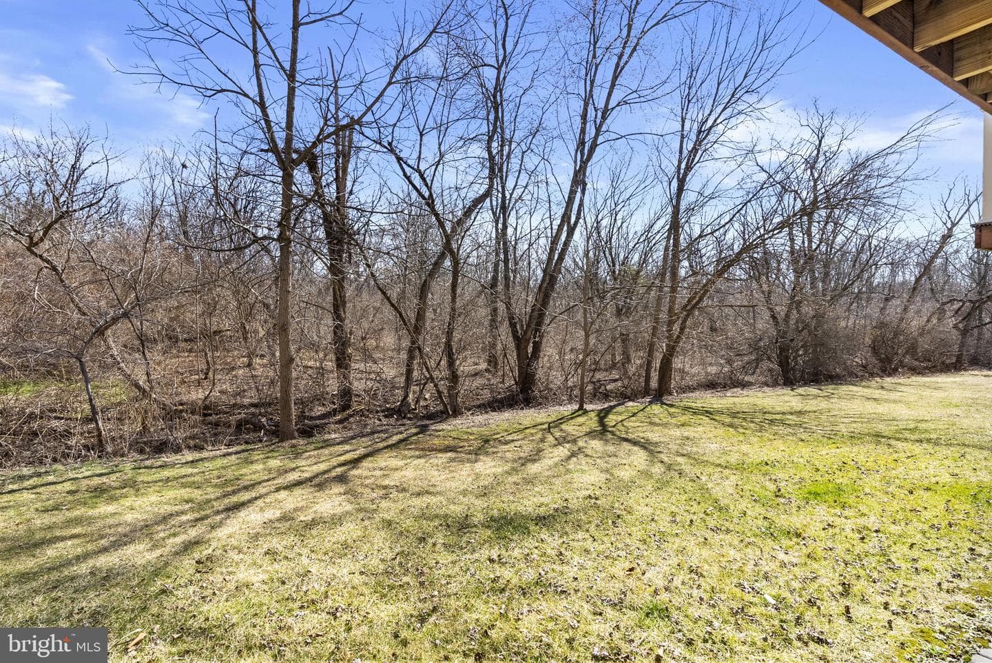 524 Oaktree Court photo 30