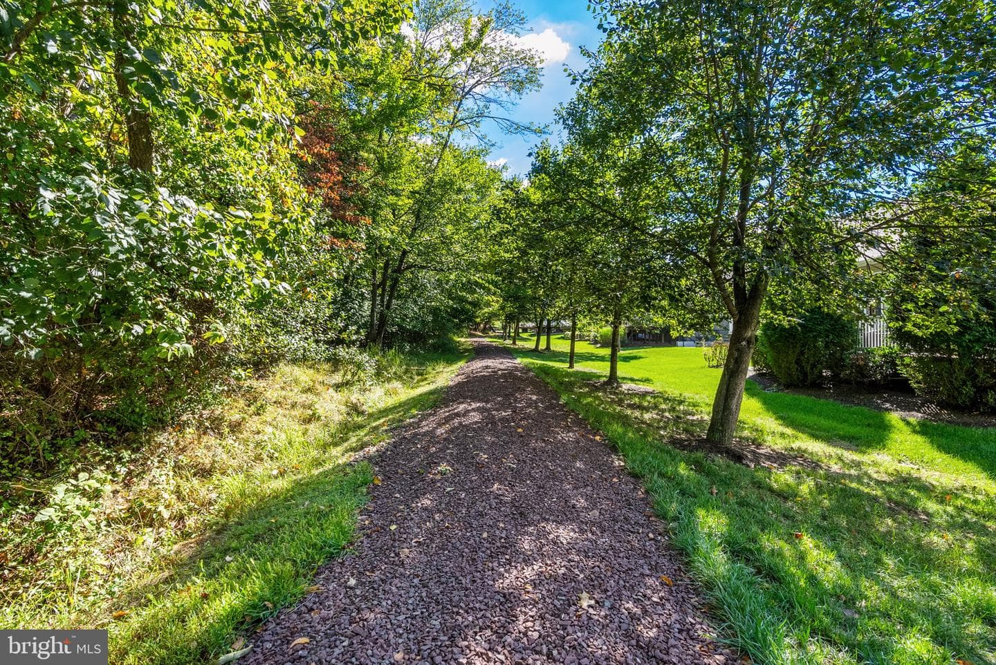 133 Sloan Road photo 44