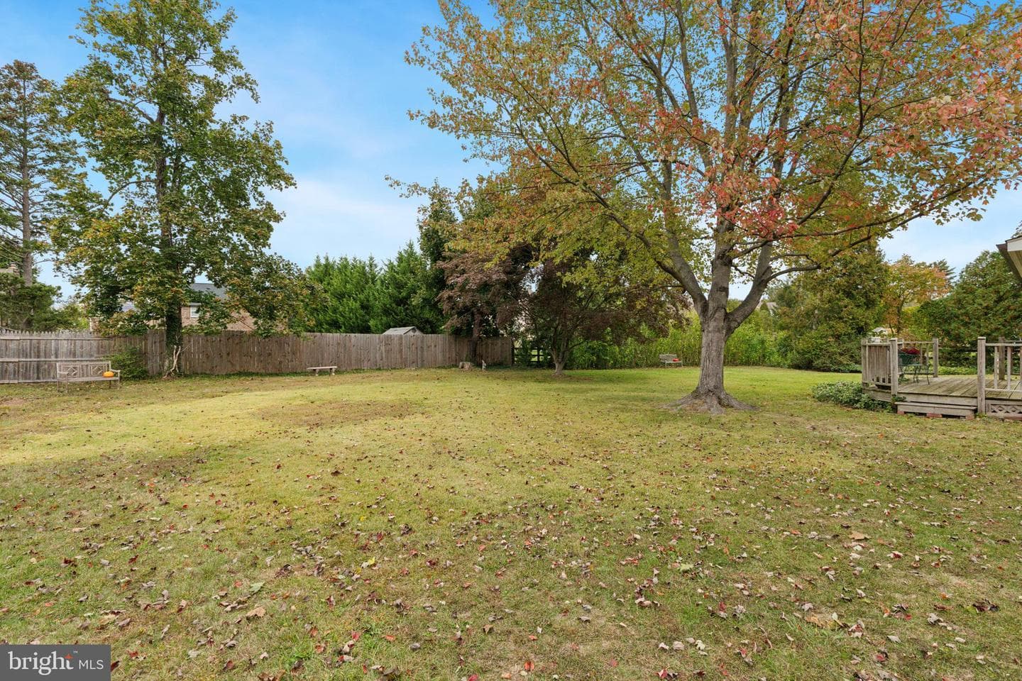 514 Madison Avenue photo 30