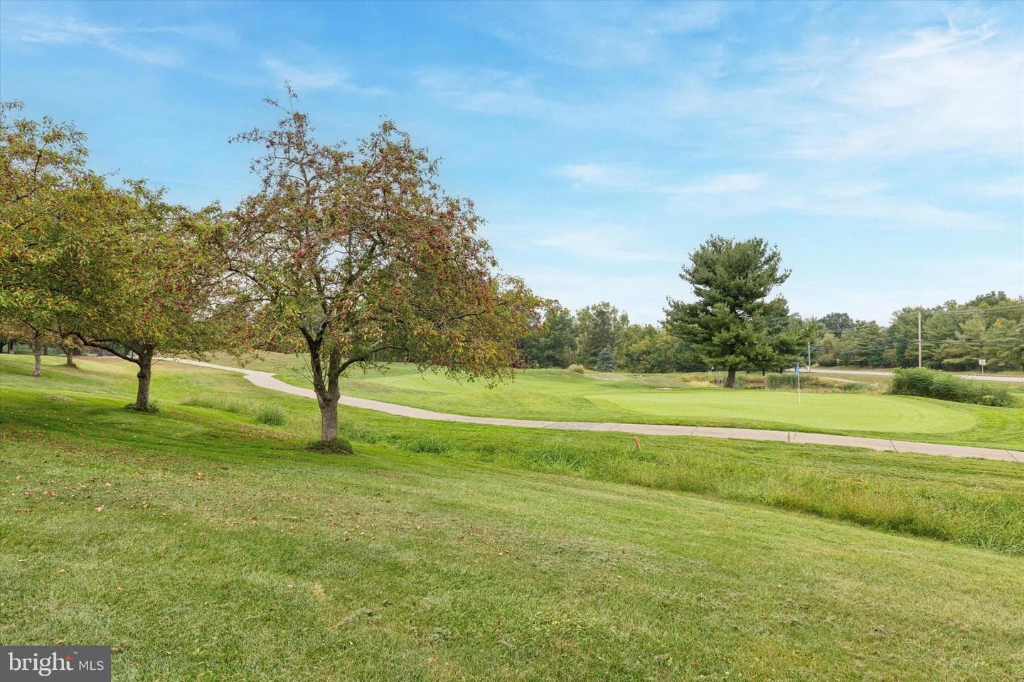 405 Country Club Drive photo 24