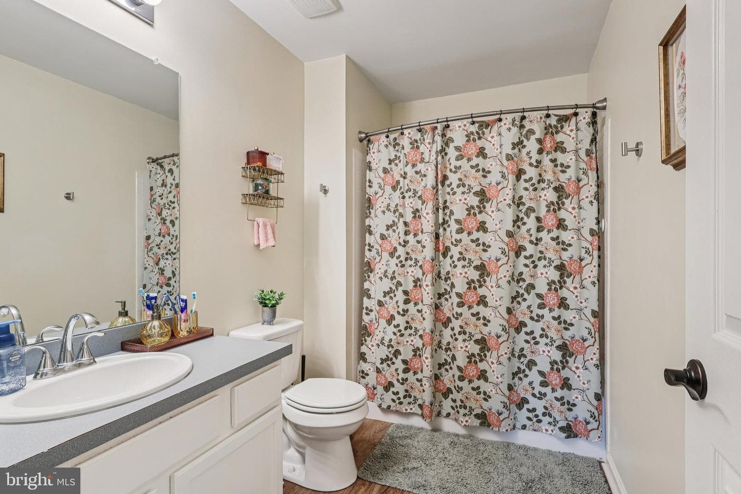 401 Cannonball Court photo 22