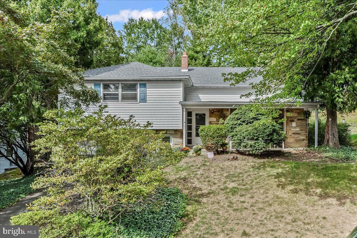 604 Pine Tree photo 1
