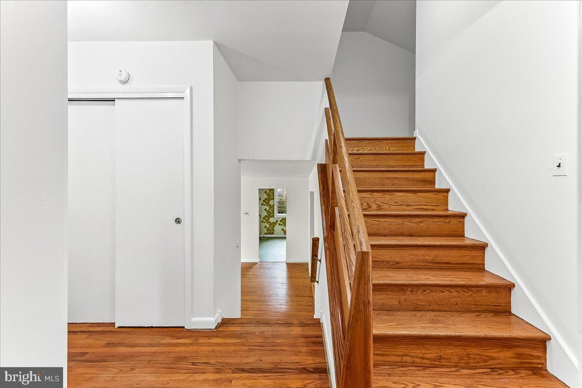 604 Pine Tree photo 16