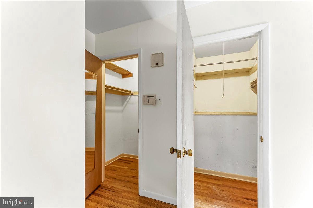 604 Pine Tree photo 25