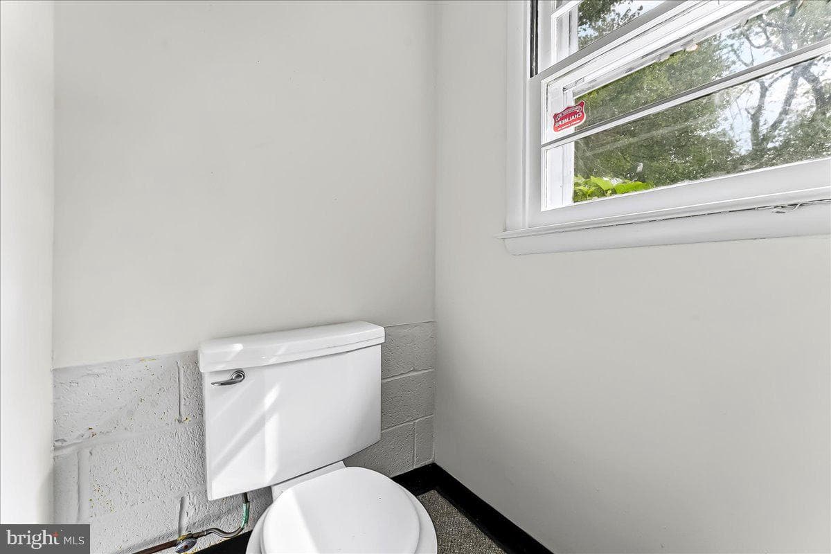 604 Pine Tree photo 35