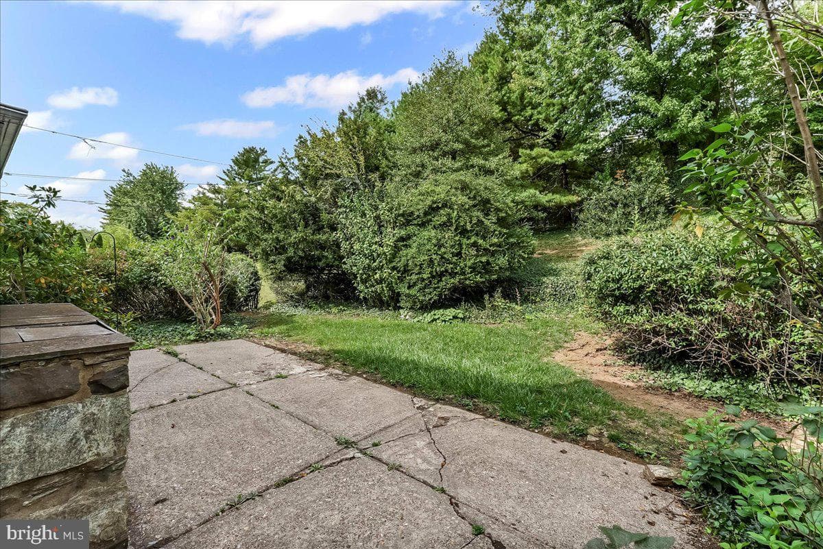604 Pine Tree photo 40