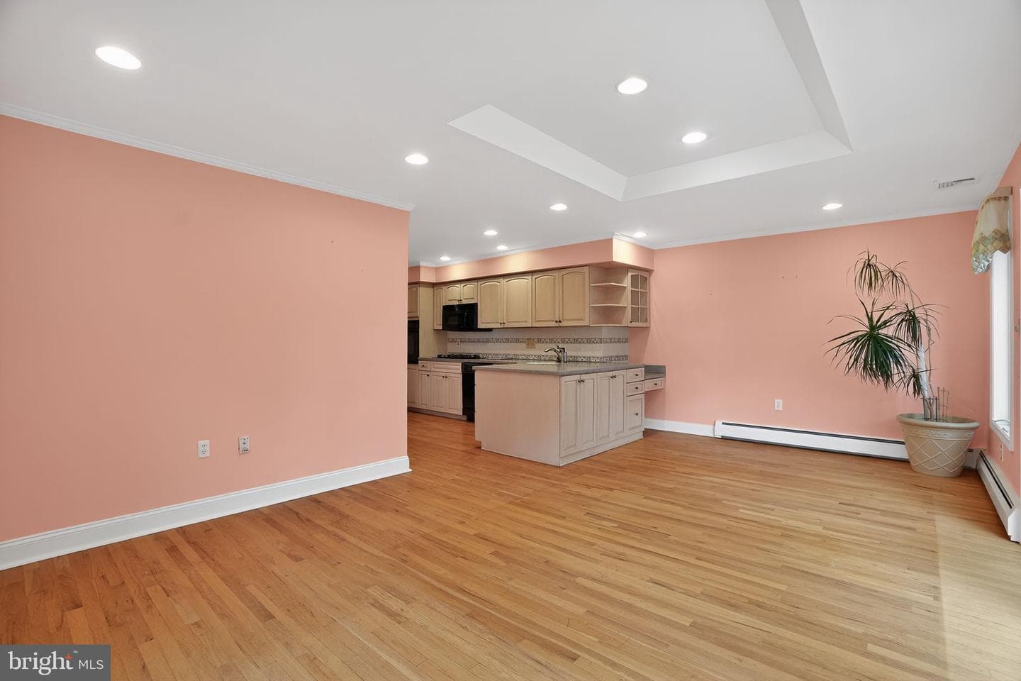 243 Jasper Road photo 15