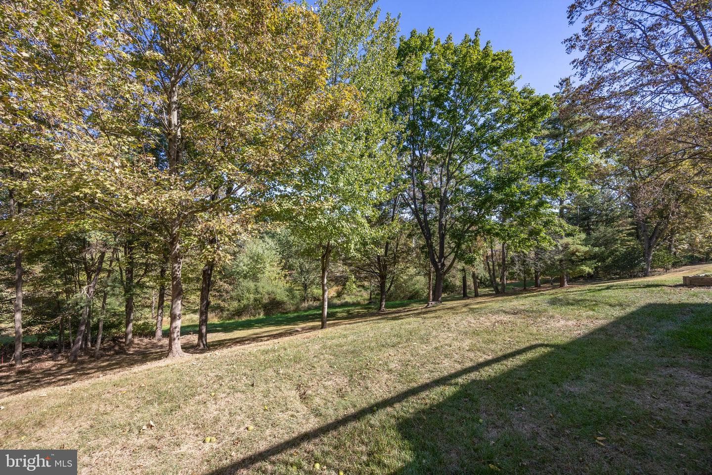 713 Scenic Drive photo 6
