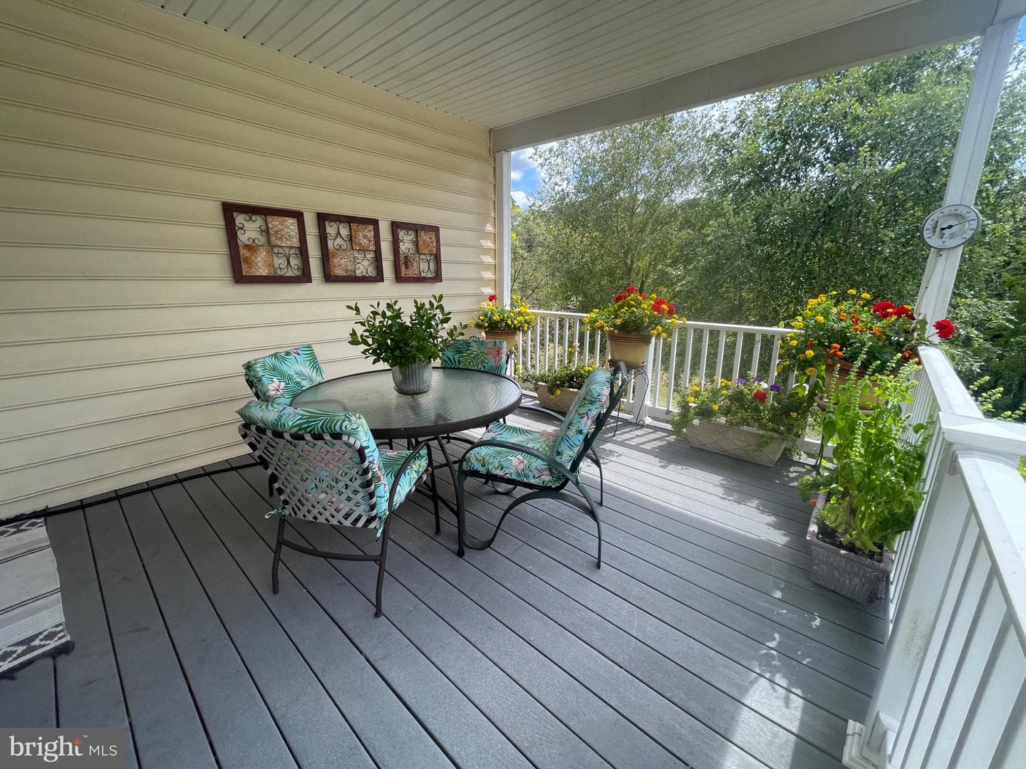 4388 Buttercup Circle photo 20