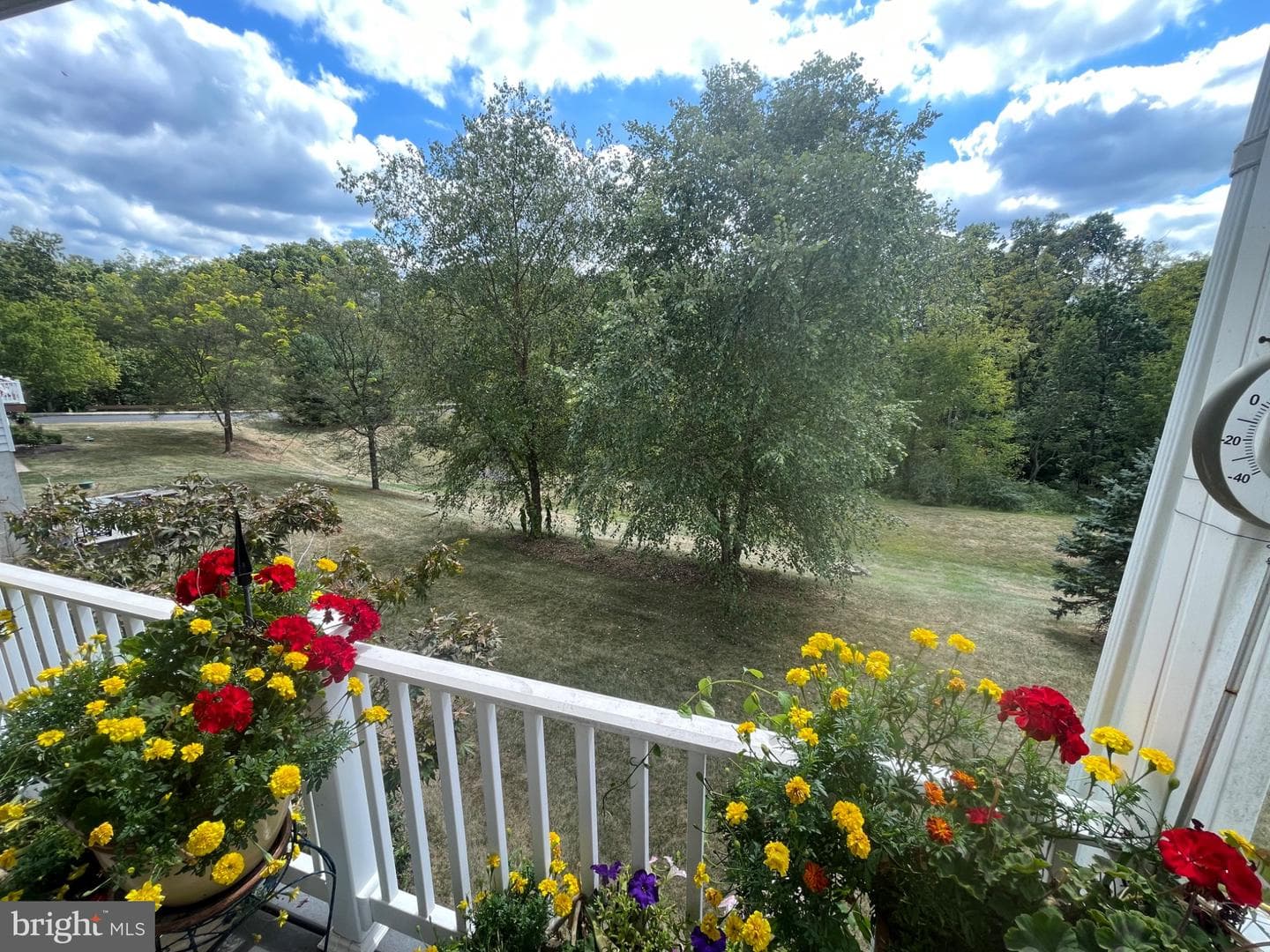 4388 Buttercup Circle photo 21