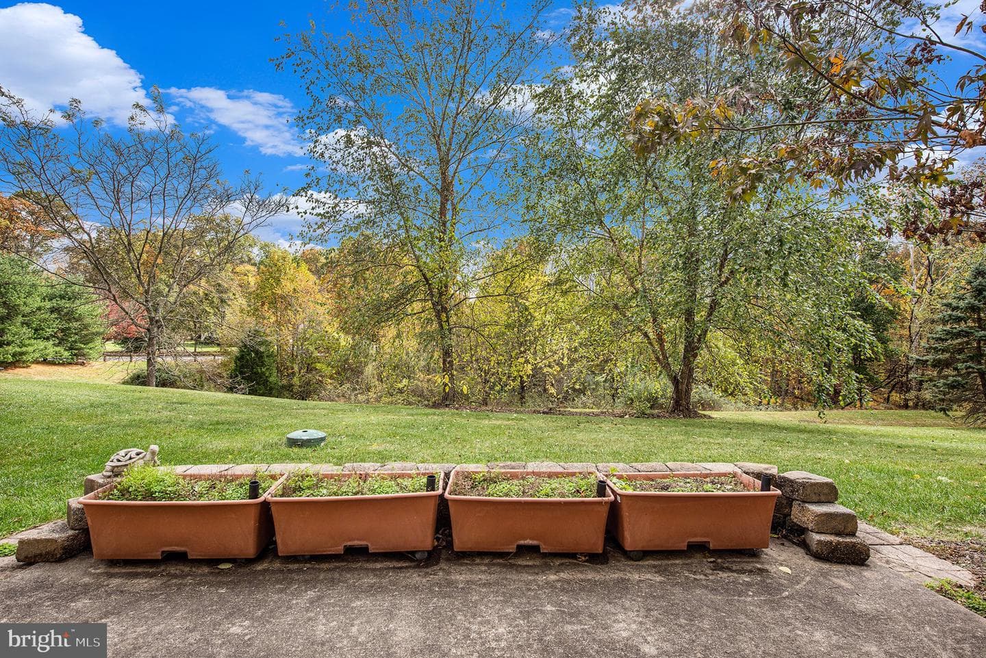 4388 Buttercup Circle photo 38