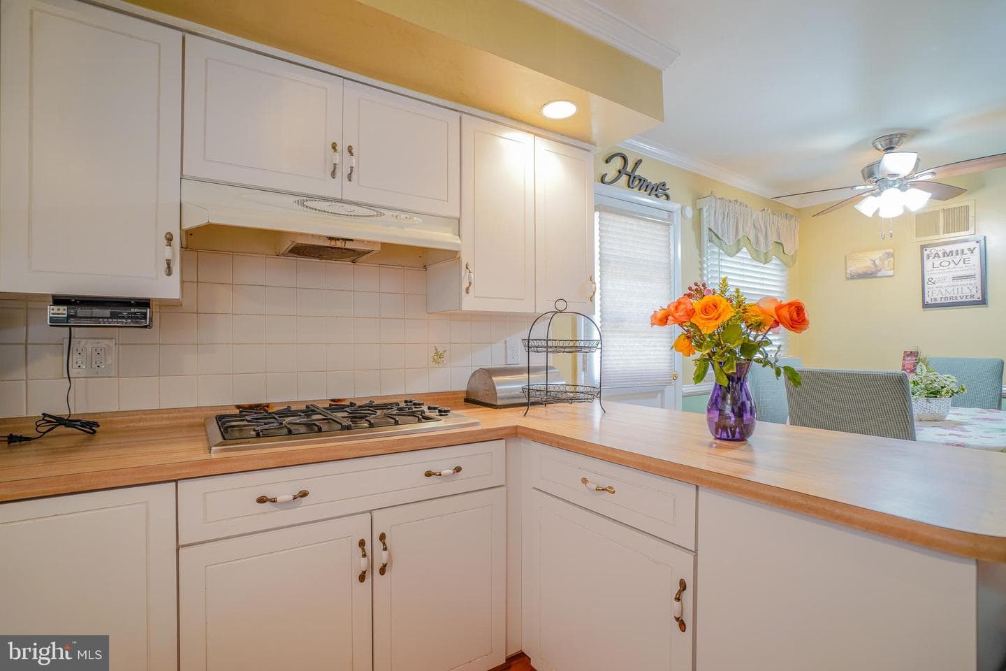 245 Barclay Circle photo 18