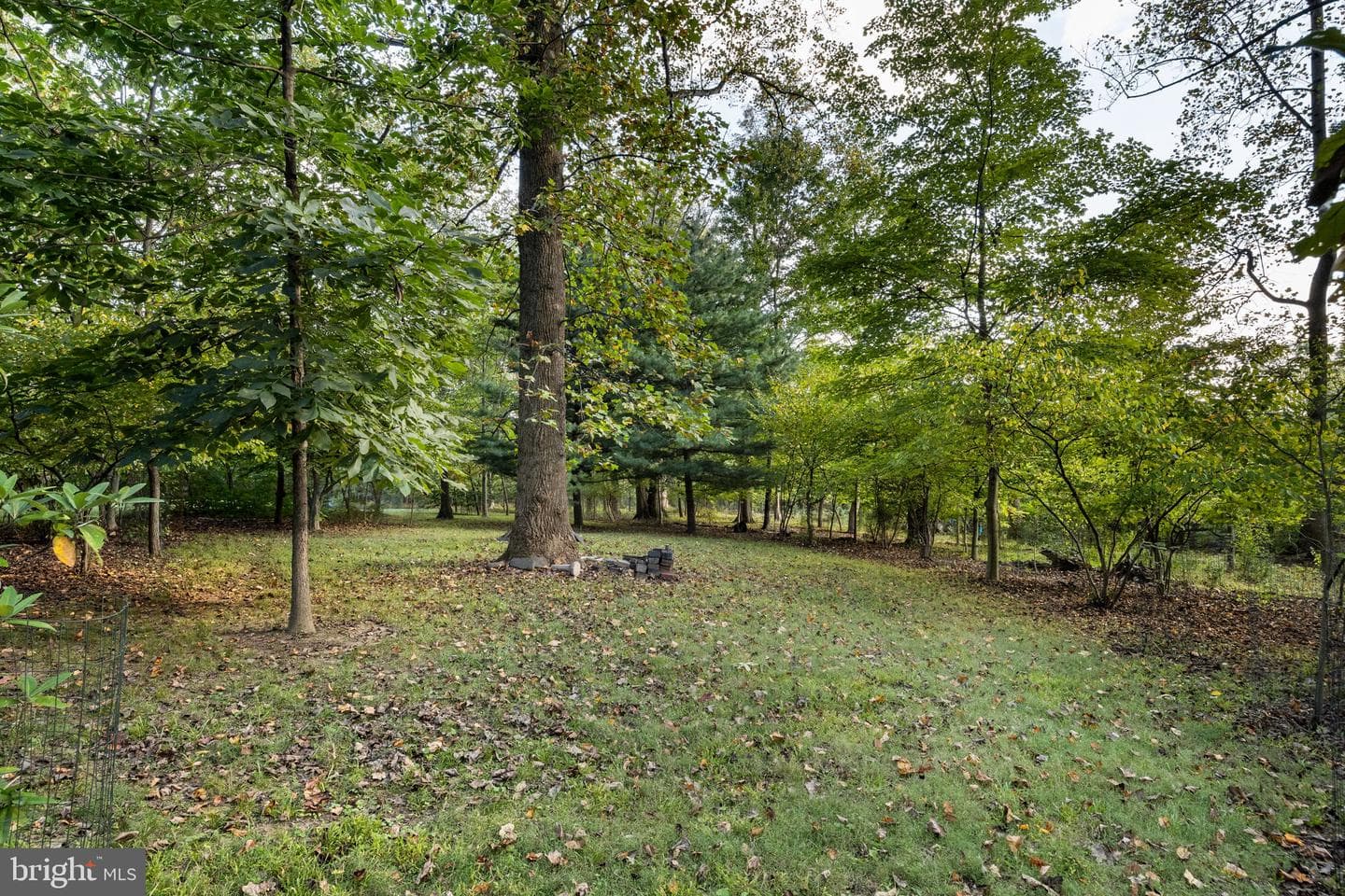 640 Harts Ridge Road photo 41