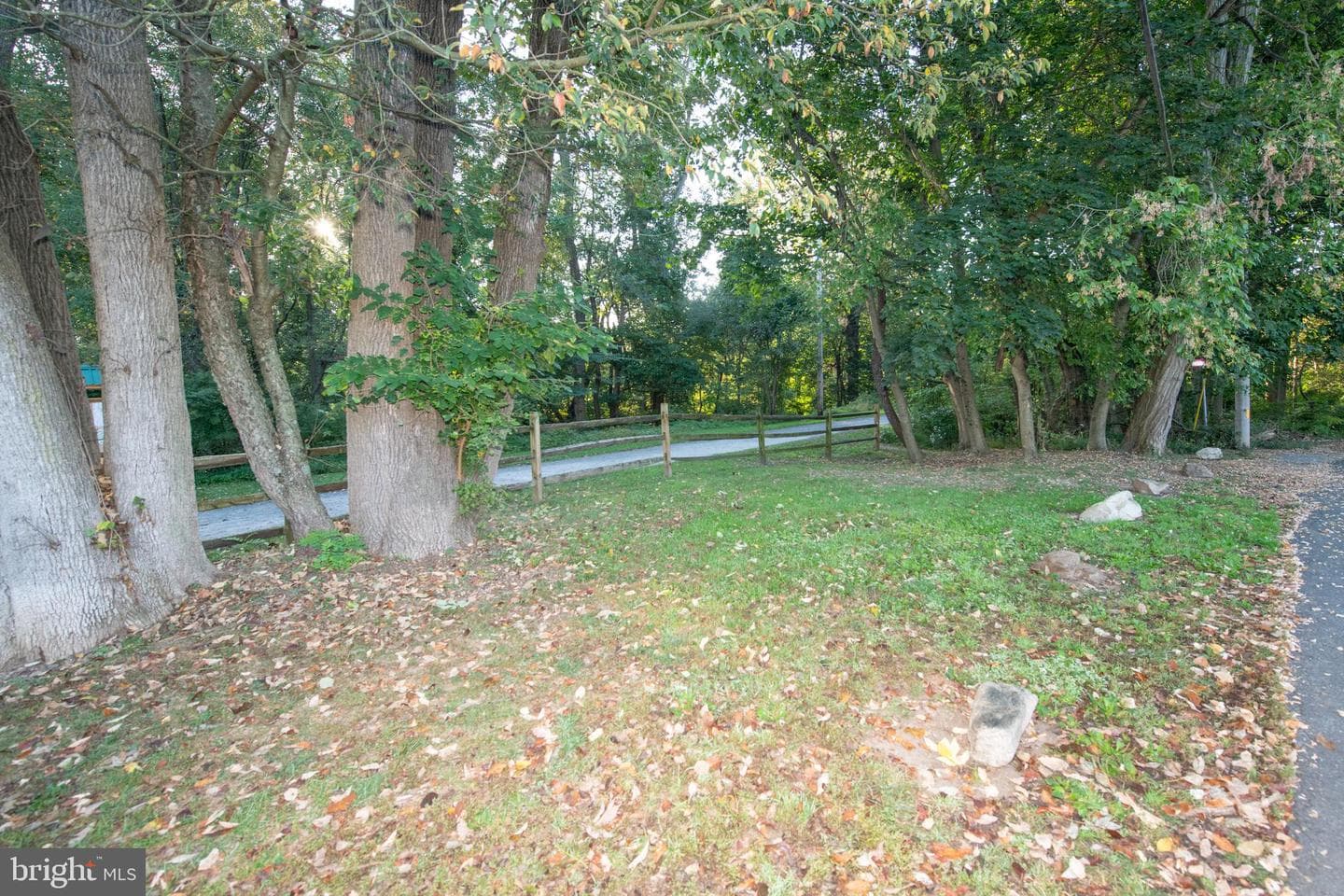 247 Leona Avenue photo 49