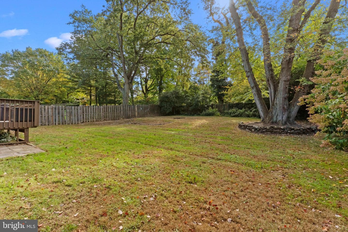 154 Greenwood Avenue photo 42