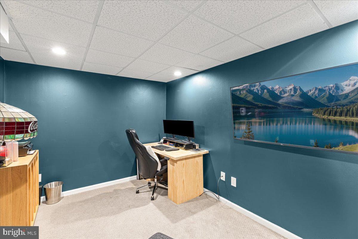 229 Brookdale Court photo 34