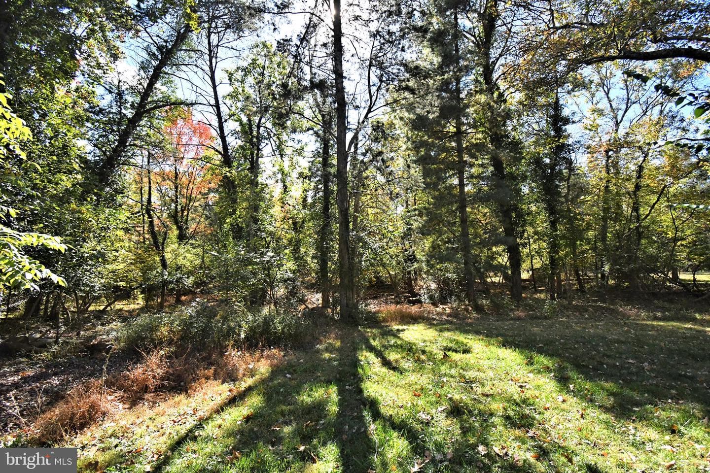 838 Store Road photo 64