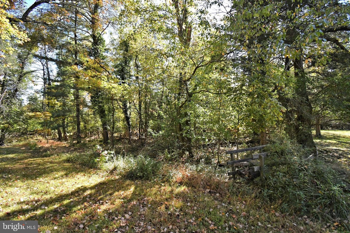 838 Store Road photo 65