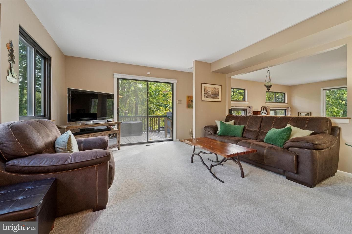 857 Hamilton Drive photo 14