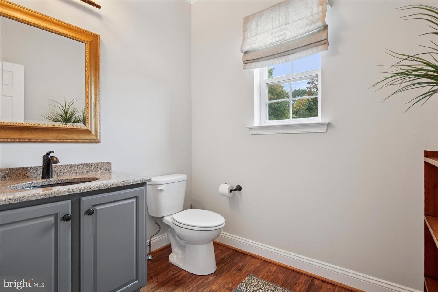 244 Sumner Court photo 11