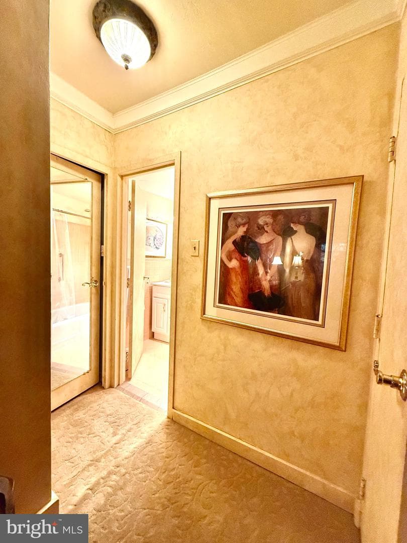 7900 Old York Road #204-A photo 18