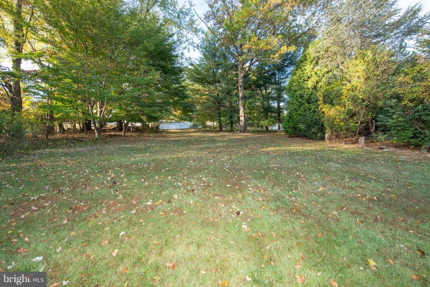 4145 Thistlewood Road photo 9