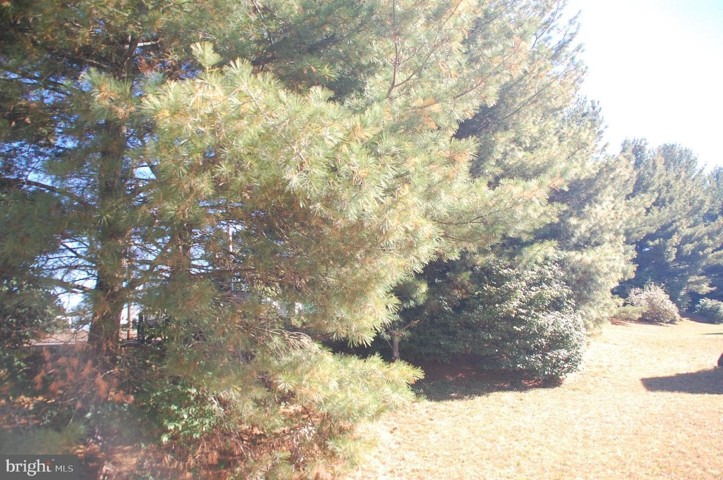 447 Manor House Lane photo 34