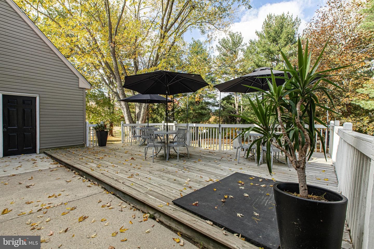 116 Norwood Lane photo 22