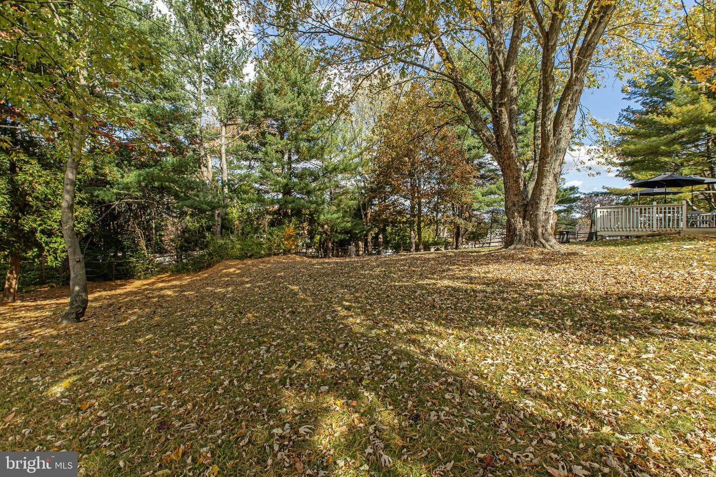 116 Norwood Lane photo 23