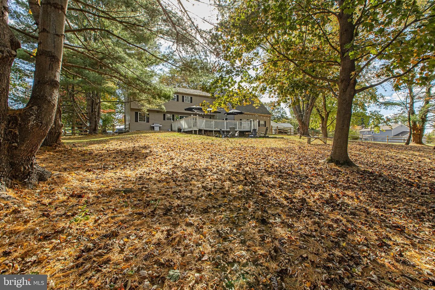 116 Norwood Lane photo 25