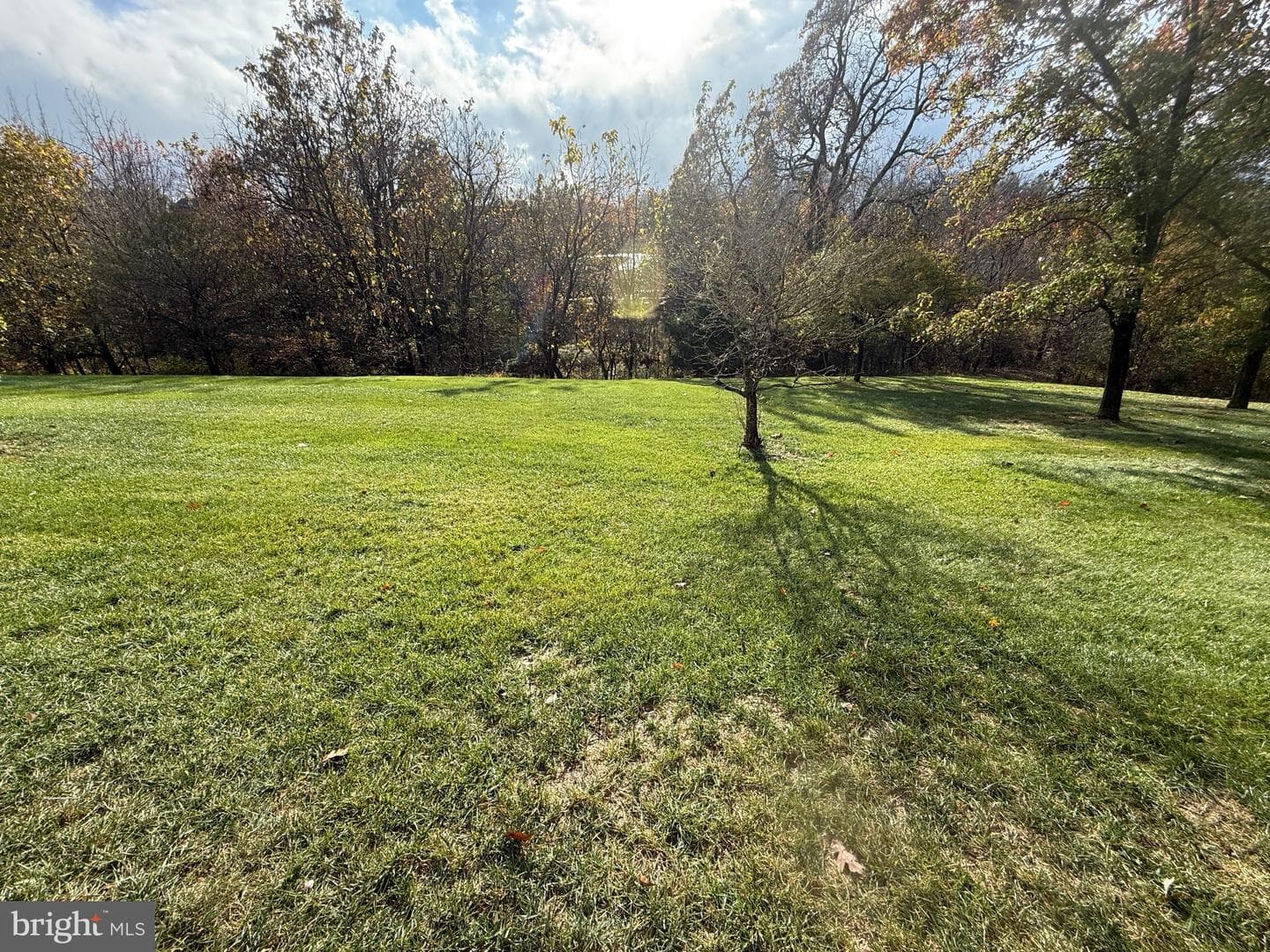 747 Crestview Boulevard photo 3
